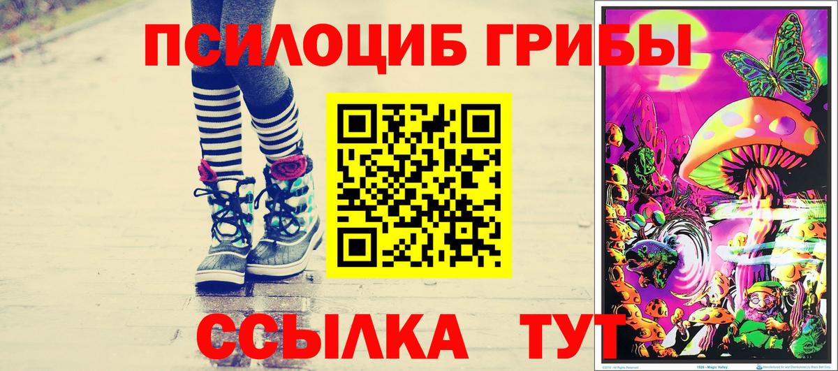 наркота  Псилоцибиновые грибы GOLDEN TEACHER  Вход с VPN  Губаха  Псилоцибиновые грибы Psilocybe 